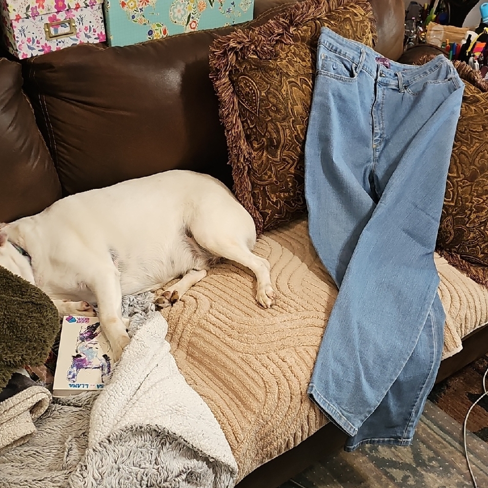 Gloria Vanderbilt Light Blue Straight Leg Jeans